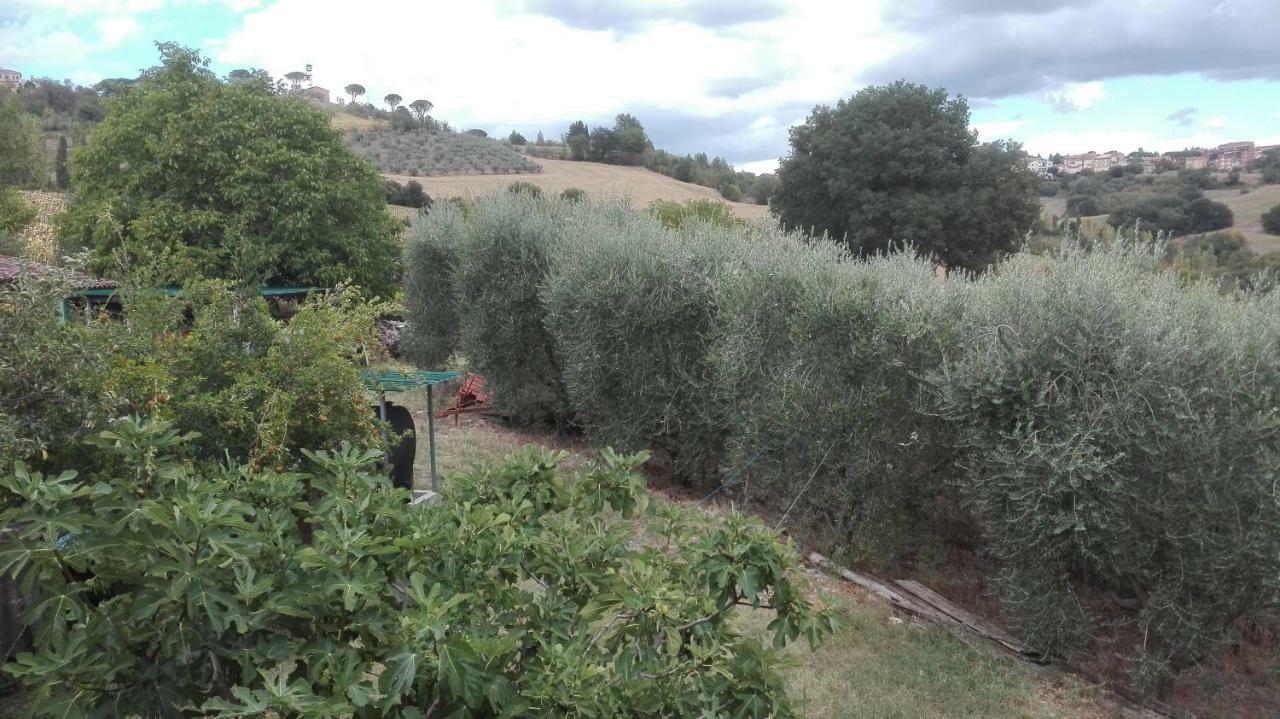 Agriturismo Cerquaglia Todi Extérieur photo